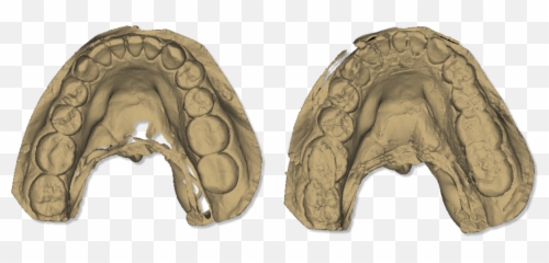 Filemaestro3deasydentalscan Calibrationlowerarch - Arch Png,Arch Png