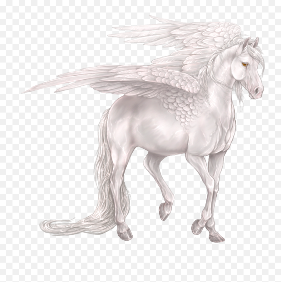 Crazypng - White Pegasus Drawing,Pegasus Png