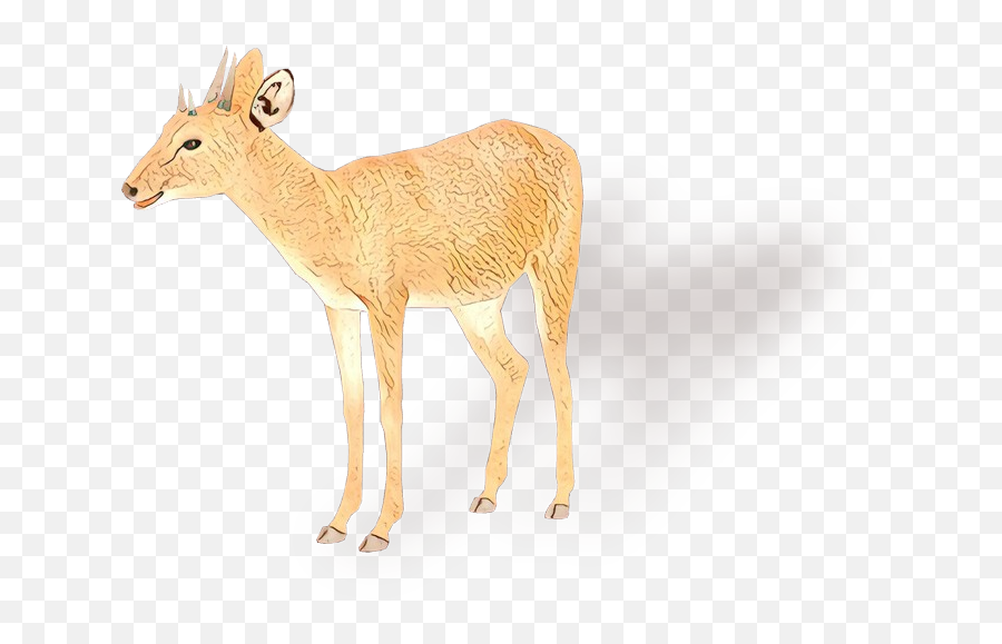 White - Animal Figure Png,Antelope Png