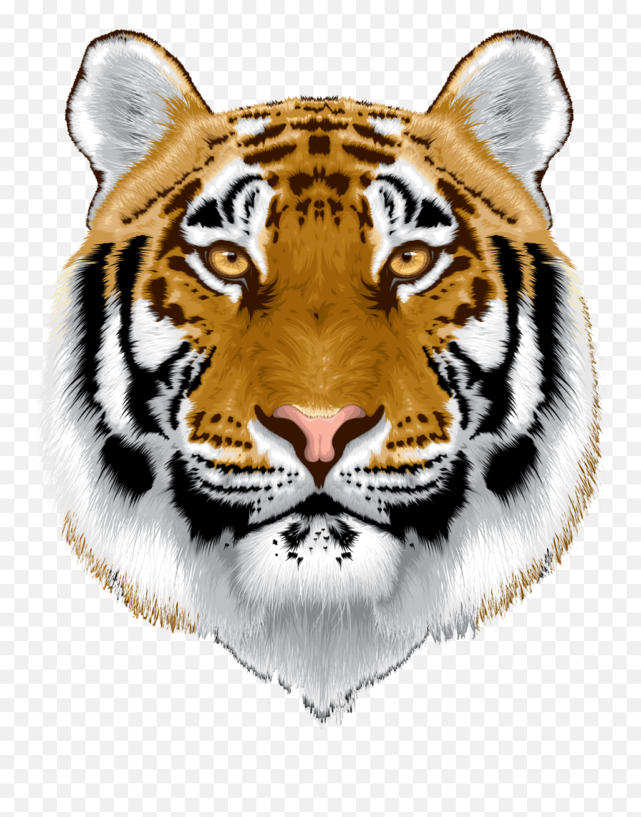 Download Hd White Tiger Head Png - Tiger Head Image In Png Tiger Head Png Transparent,White Tiger Png