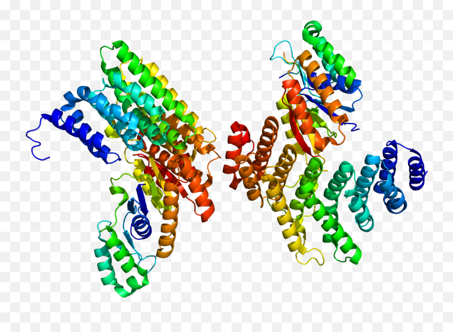 Protein Sympk Pdb 3o2q - Proteins Png,Protein Png