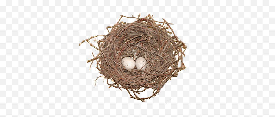 Nest Png - Nest,Nest Png
