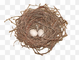 Nest Png - Nest,Nest Png