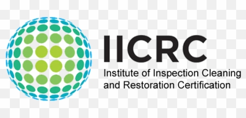 An Iicrc - Iicrc Carpet Cleaning Png,Servicemaster Restore Logo