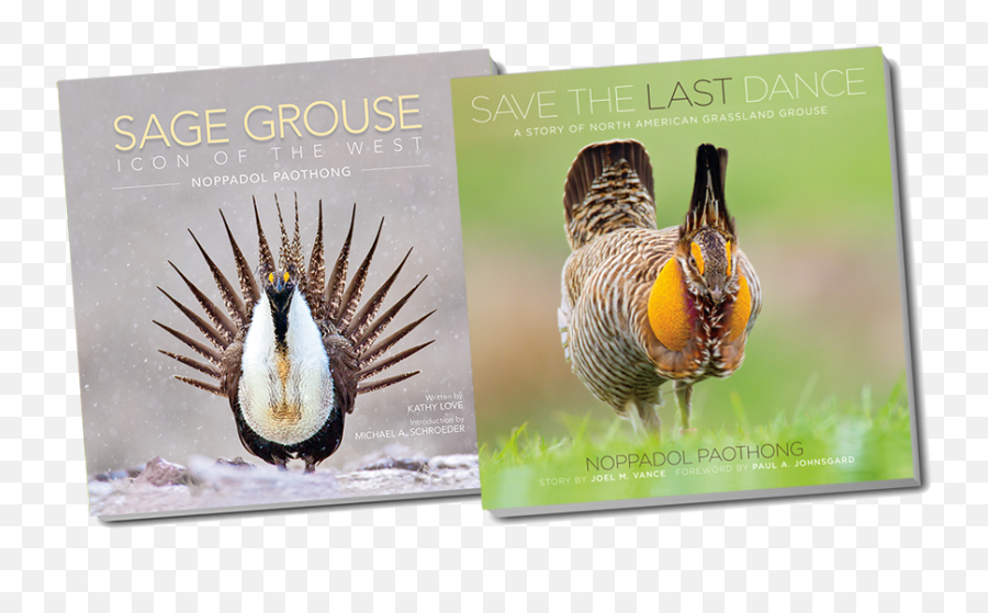 Book Bundle 20 Off - Grouse Png,Pictures Of Sage Icon