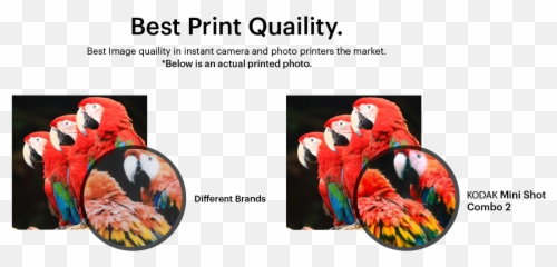 4pass Technology Kodak Main Eng - Graphic Design Png,Kodak Logo Png