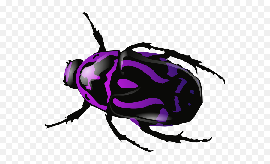 Free Beetle Files Png Transparent Background Download - Purple Insect,Beetle Icon