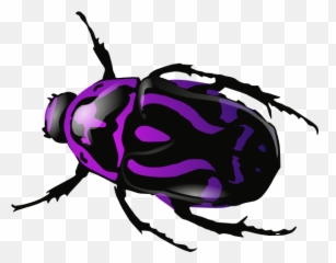 Free Beetle Files Png Transparent Background Download - Purple Insect