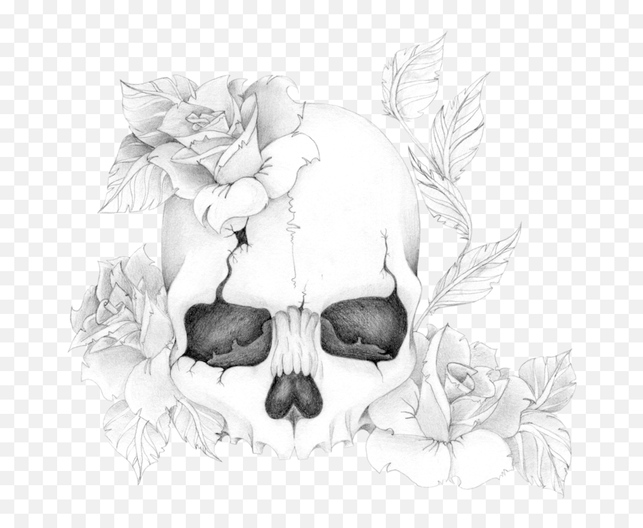 Skull And Roses Png 4 Image - Drawing Skull With Roses,Skull Drawing Png