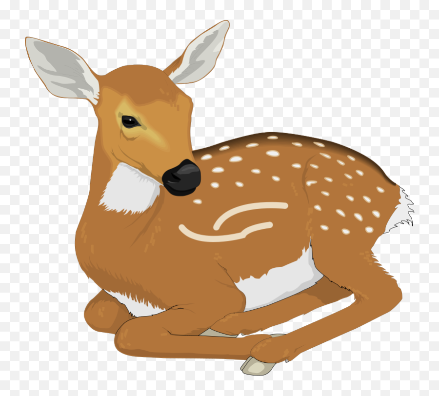 Free Transparent Animal Cliparts Download Clip Art - Deer Clipart Png,Animals Transparent Background