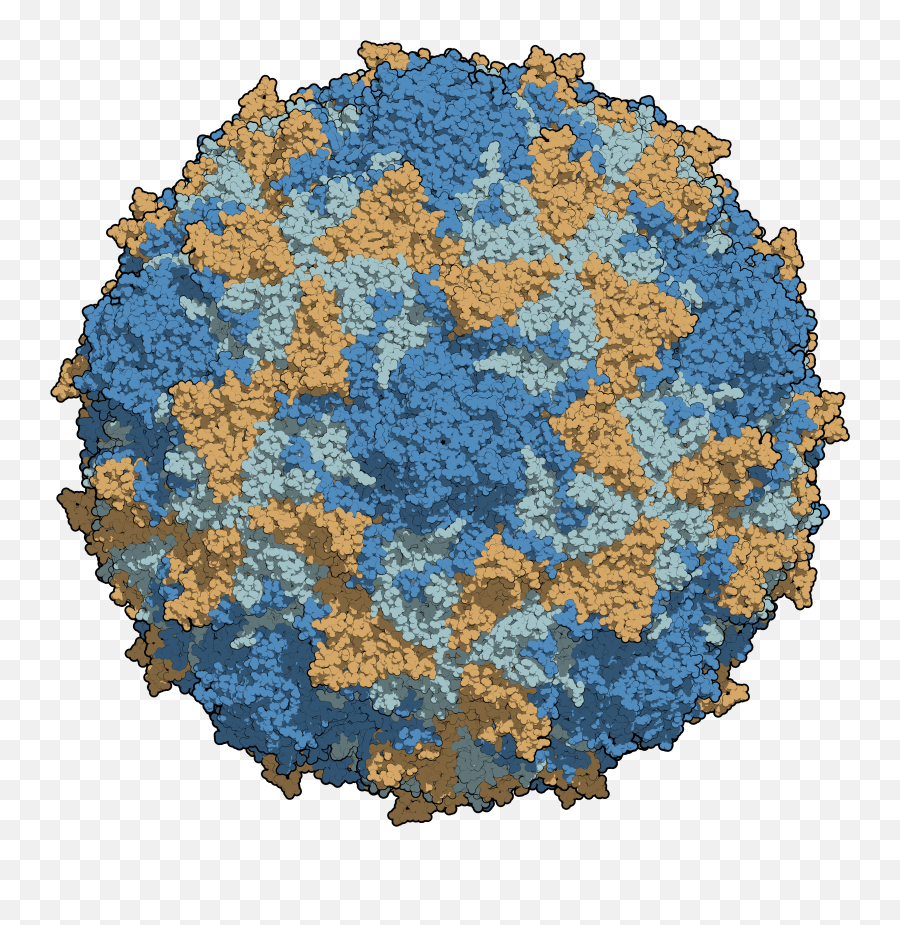 Polio - Poliovirus Png,Chains Png