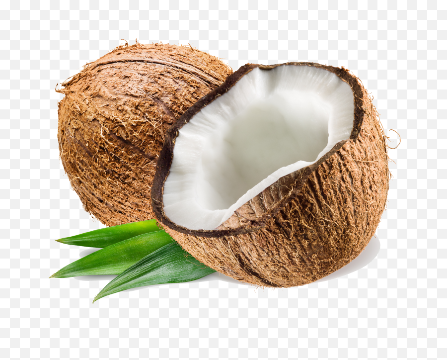 Png Transparent Coconut