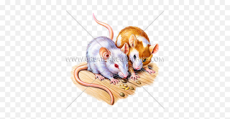 Pet Mice Production Ready Artwork For T - Shirt Printing Rat Png,Mice Png