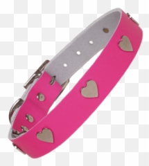 Black Leather Spike Dog Collar Transparent Png - Stickpng Pink Dog Collar Transparent,Collar Png