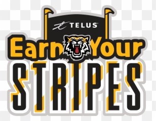 Tiger - Cats To Launch U0027telus Earn Your Stripesu0027 Program This Hamilton Png,Tiger Stripes Png