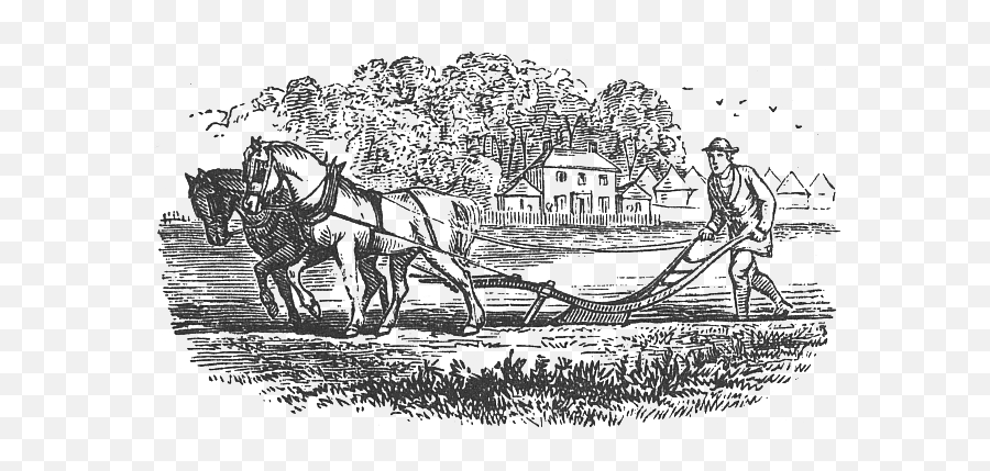 Horse And Plow Png Transparent - Horse And Plough Drawing,Plow Png