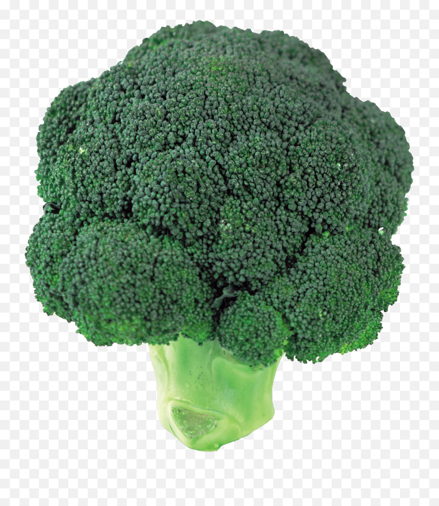 Broccoli Png Transparent Images Free - Transparent Broccoli,Brocolli Png
