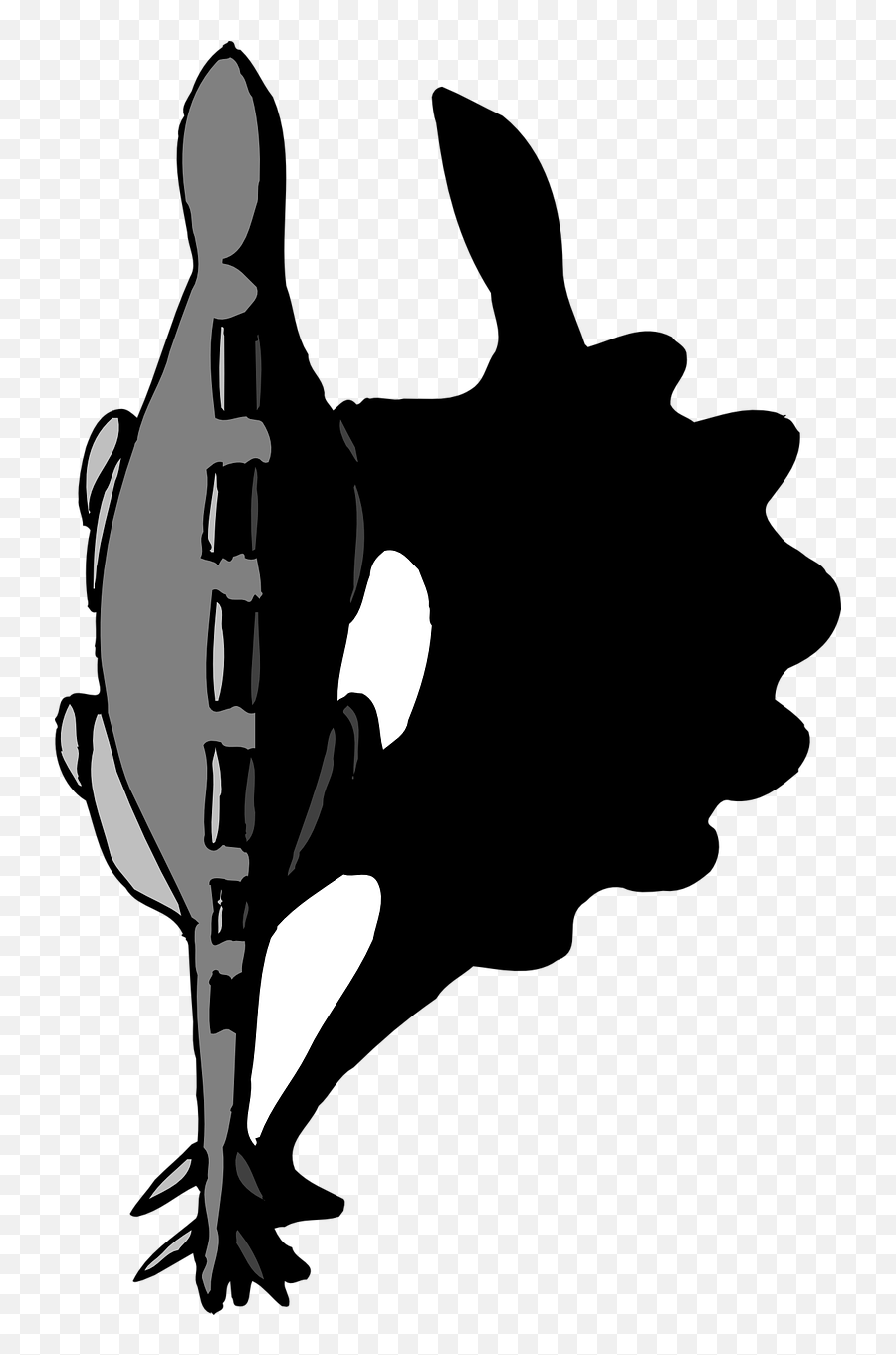 Top View Shadow - Free Vector Graphic On Pixabay Dinosaur Png Top View,Plant Top View Png