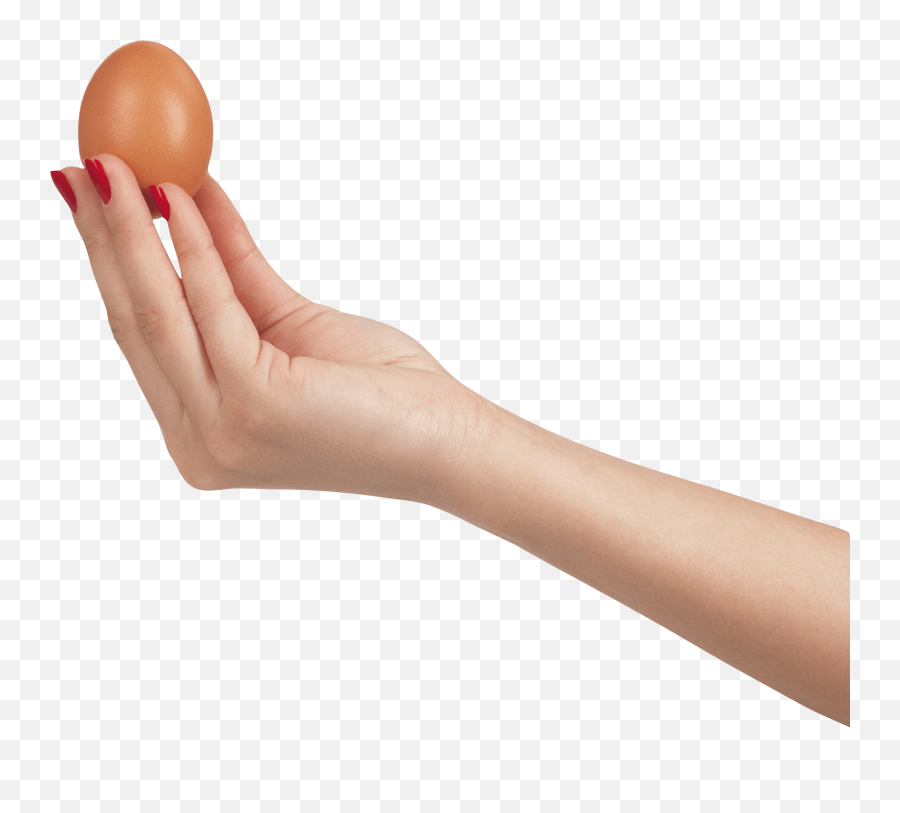 Download Egg In Hand Png Image Hq Different - Hand Egg Png,Hand Png