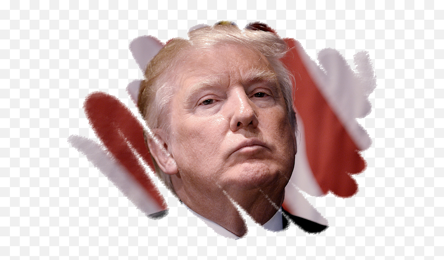 Trump Impeached - Human Png,Trump Hair Png