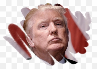 Trump Impeached - Human Png,Trump Hair Png