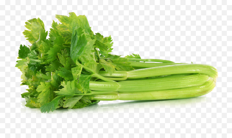 Download Celery Png File - Transparent Background Celery Png,Celery Png