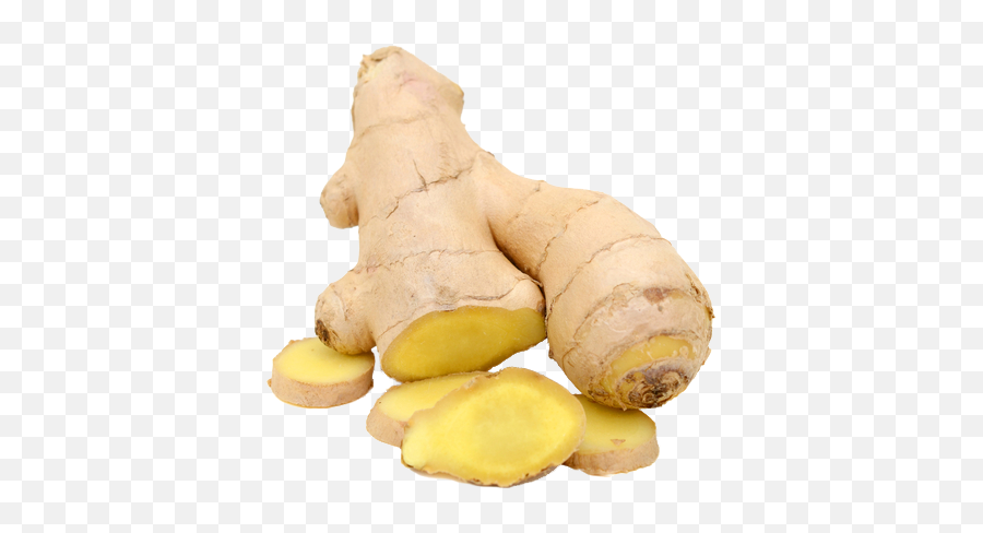 Ginger Png - Ginger Png Transparent,Ginger Png