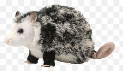 Oliver The Stuffed Possum - Possum Plush Png,Possum Png
