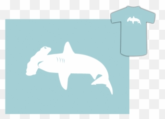 Images - Bronze Hammerhead Shark Png,Hammerhead Shark Png