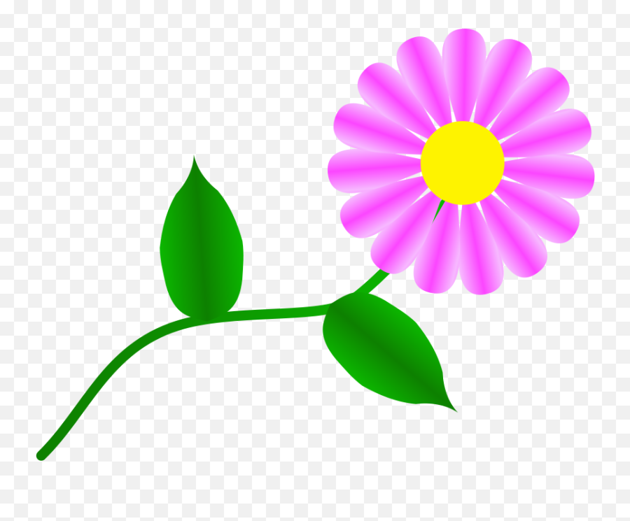 Download Daisy Fuchsia For You Png Image Clipart Free - Clip Art Daisy Flowers,Daisies Png