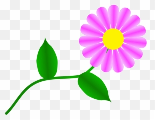 Download Daisy Fuchsia For You Png Image Clipart Free - Clip Art Daisy Flowers,Daisies Png