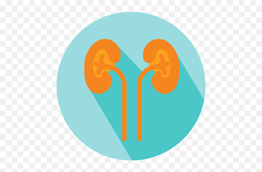 East - Png Icon Kidney,Kidney Png