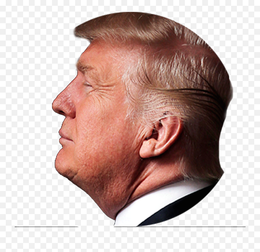 Download Hd Donald Trump His Children - Trump Head Png,Trump Head Transparent Background