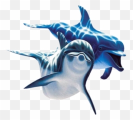 Dolphin Icon Png - Dolphins