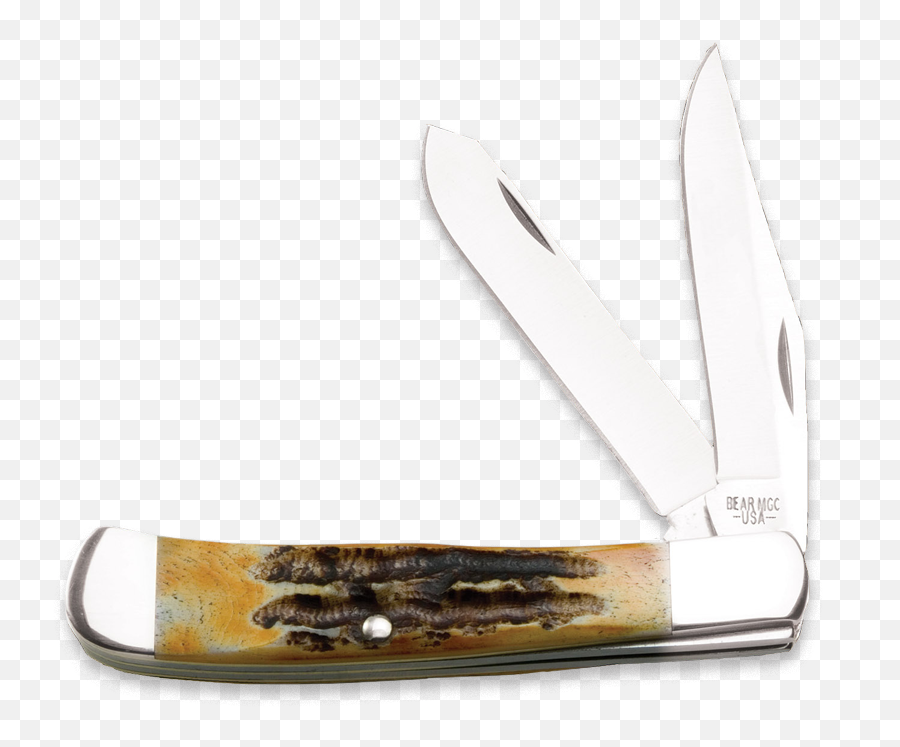 Bear 554 Png Products Knives