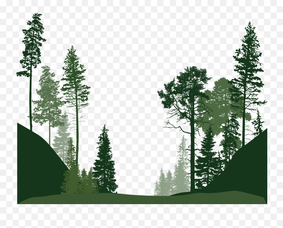Forest Trees Png Download - Transparent Background Forest Clipart,Forest Tree Png