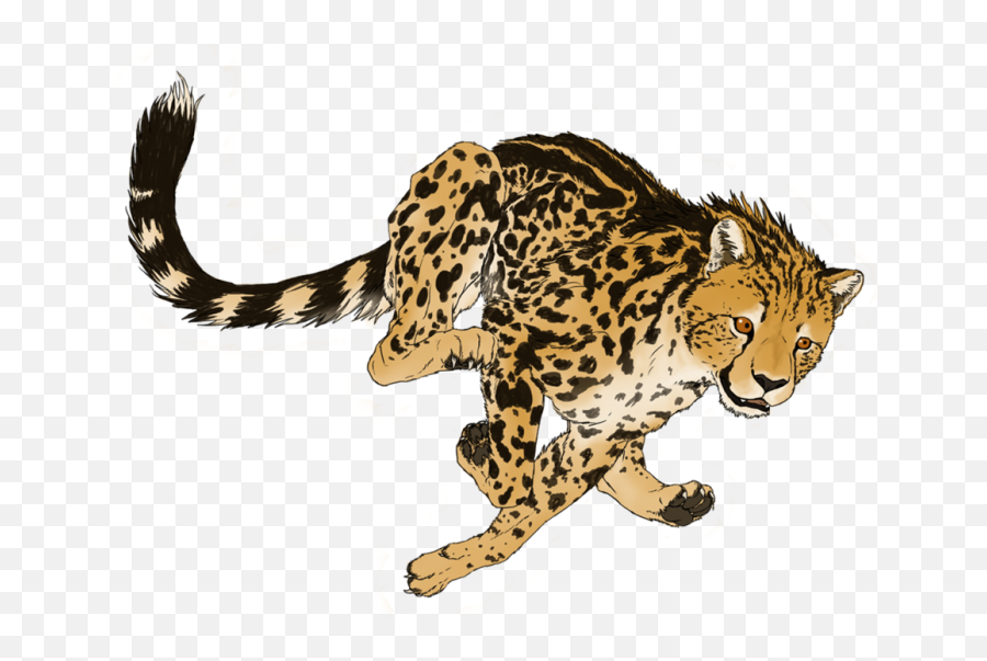 Cheetah Png Transparent Picture - Cheetah Png Art,Cheetah Transparent