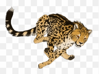 Cheetah Png Transparent Picture - Cheetah Png Art,Cheetah Transparent