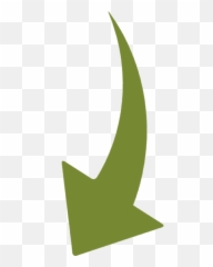Elon Musk Transparent Png Image - Horizontal,Elon Musk Png