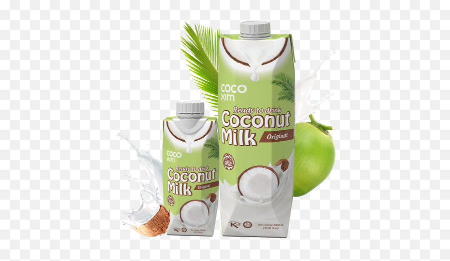 Coconut Water Company - Fresh Coconut Water Best Coconut Coconut Milk Ready To Drink Png,Coconut Transparent