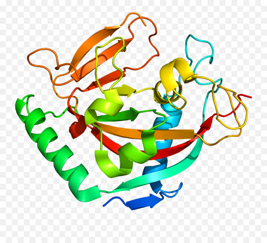 Protein Tnks2 Pdb 3kr7 - Protein Structure Clear Background Png,Protein Png