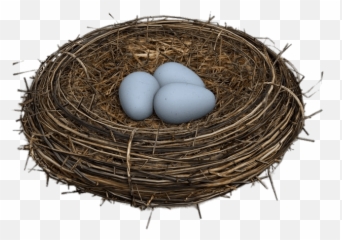 Eggs In Bird Nest Transparent Png - Bird Nest Transparent Background,Nest Png