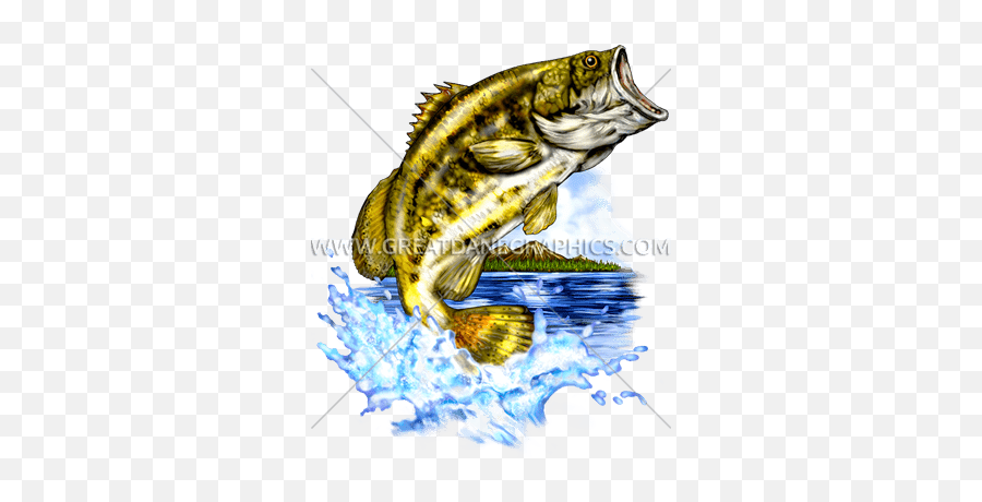 Large Mouth Bass - Jumping Largemouth Bass Png,Largemouth Bass Png