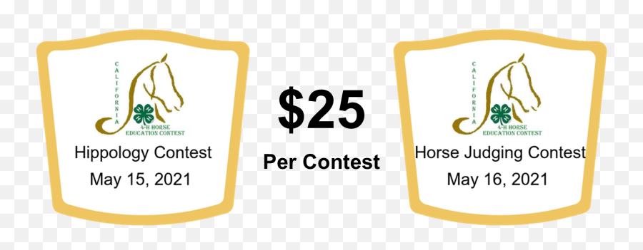 Educational Contests - Language Png,Horse Icon On Tumblr