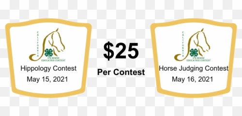 Educational Contests - Language Png,Horse Icon On Tumblr