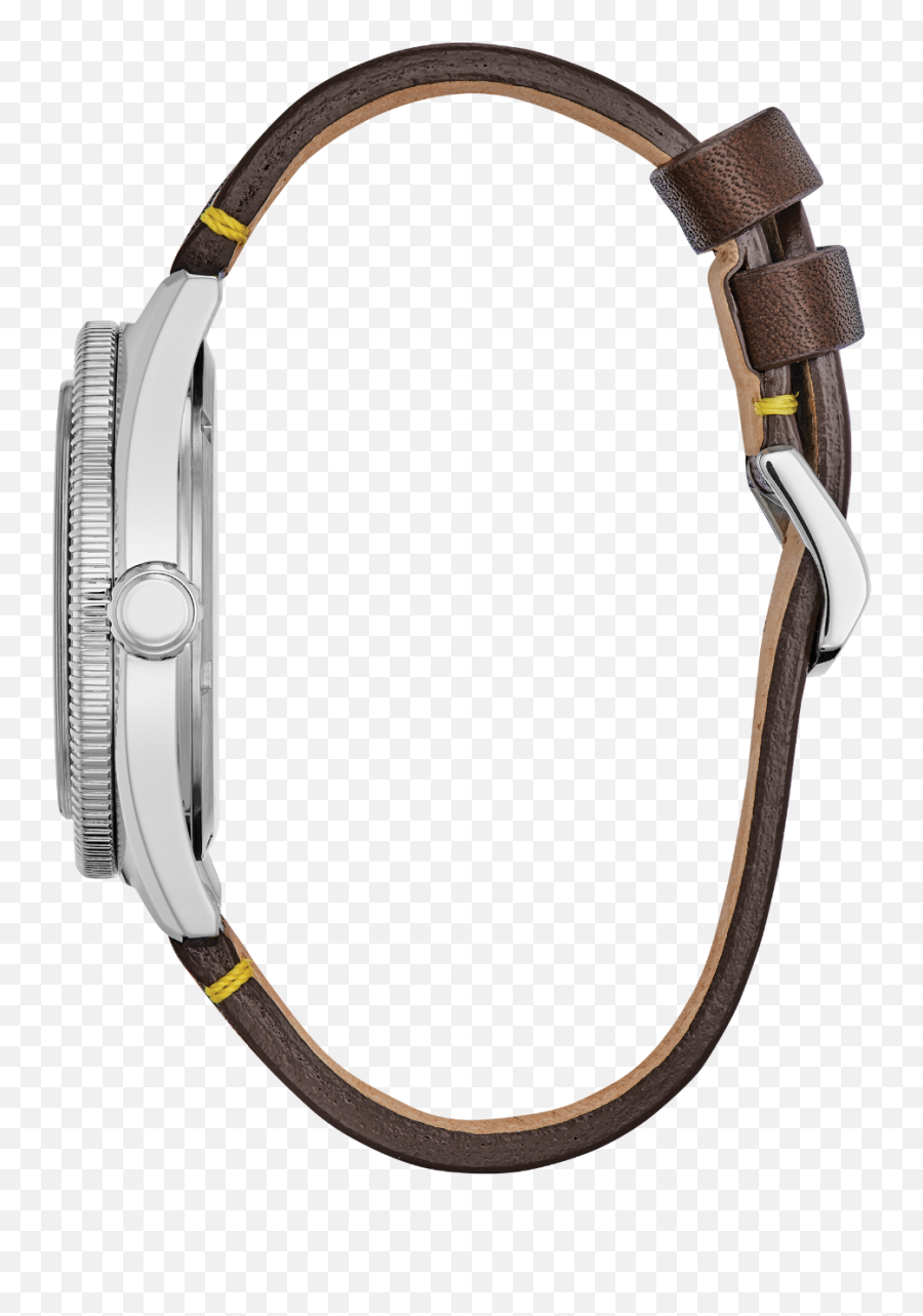 Citizen Eco Png Lucien Piccard Sea Icon