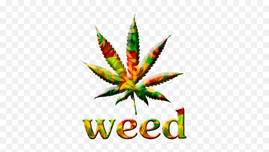 Cannabis Social Club - Csczotumnet Weed Leaf Black Png,Marijuana Plant Png