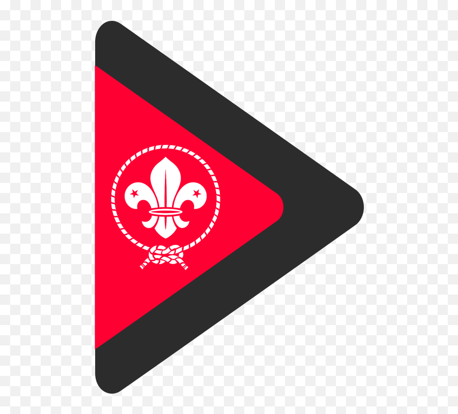 Jota - Joti Trusted Partner 2019 European Scout Foundation Png,R Teamspeak Icon