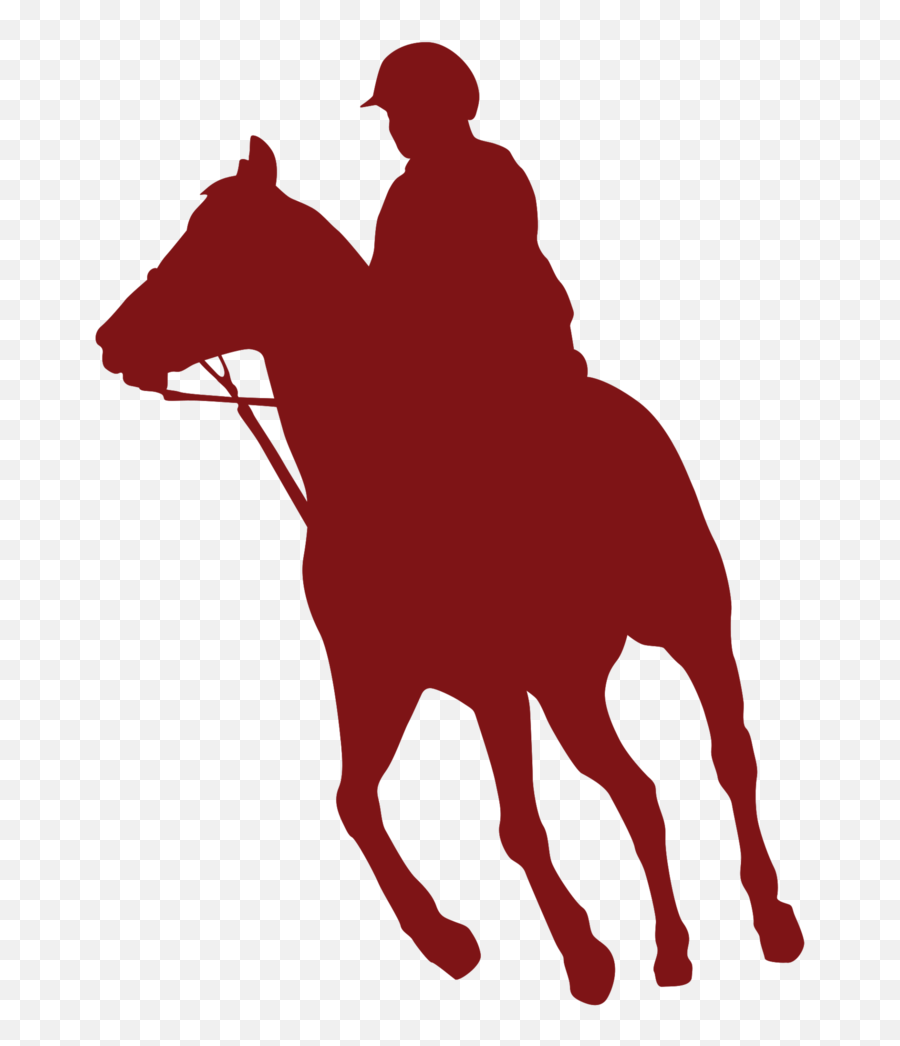 Free Horse Riding 1209126 Png With Transparent Background - Rein,Horse Riding Icon