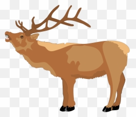 Reindeer Clip Art Free Clipart Images 3 - Wikiclipart Caribou Clip Art Png,Reindeer Clipart Png
